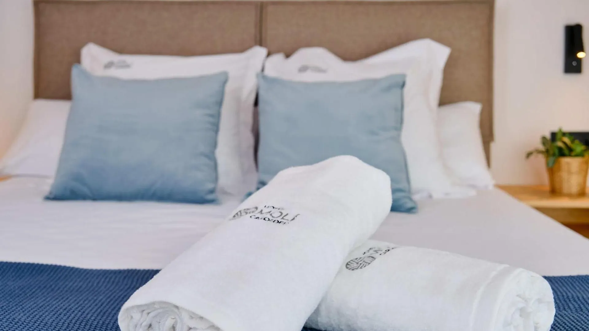 Hotel Moli Cardedeu