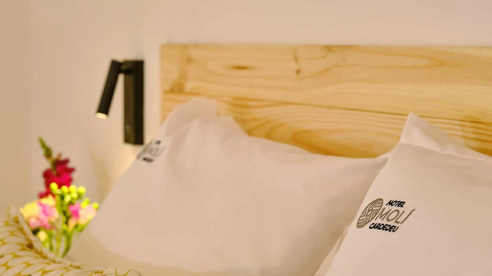 Hotel Moli Cardedeu 3*,
