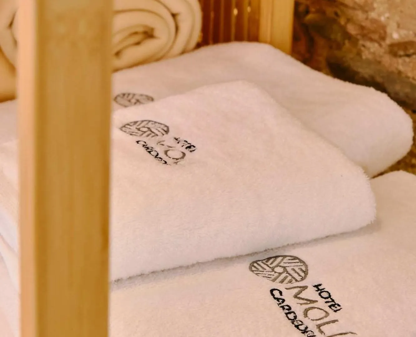 Hotel Moli Cardedeu 3*,
