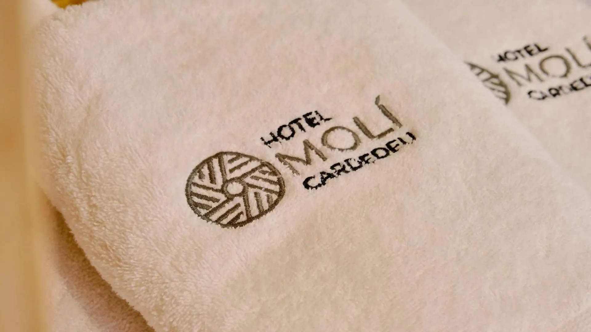 Hotel Moli Cardedeu